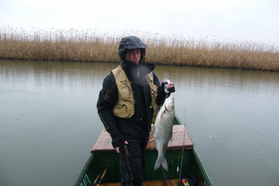 Фотография Гостевой дом «У Константина» 0