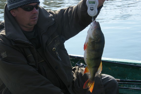 Фотография Рыболовная база «Зеленга» 4