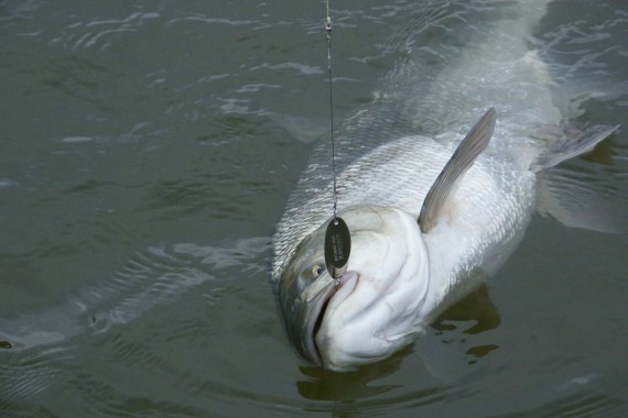 Фотография Рыболовная база «Зеленга» 13