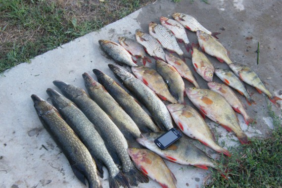 Фотография Рыболовно-охотничья база «Зеленый берег» 16