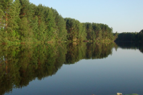 Фотография Рыболовно-охотничья база «Пескарики» 14