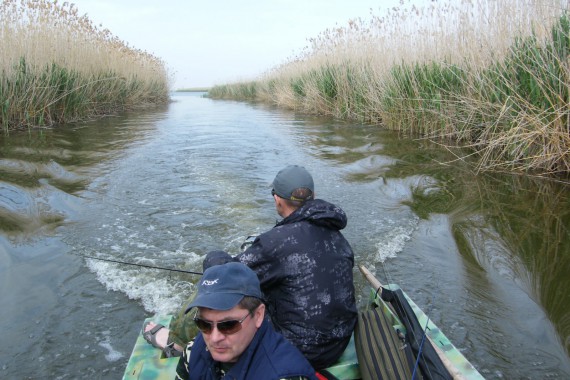 Фотография Гостевой дом «У Константина» 14