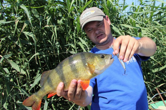 Фотография Рыболовно-охотничья база «Зеленый берег» 22