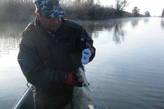 Фотография Гостевой дом «У Константина» 7