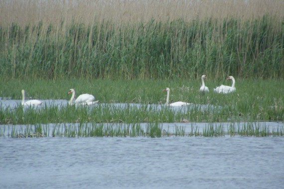 Фотография Гостевой дом «У Константина» 17
