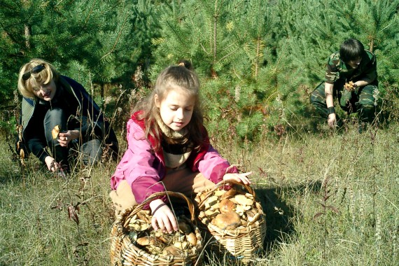Фотография Рыболовно-охотничья база «Пескарики» 13