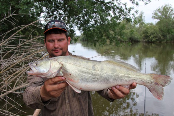 Фотография Рыболовно-охотничья база «Зеленый берег» 24
