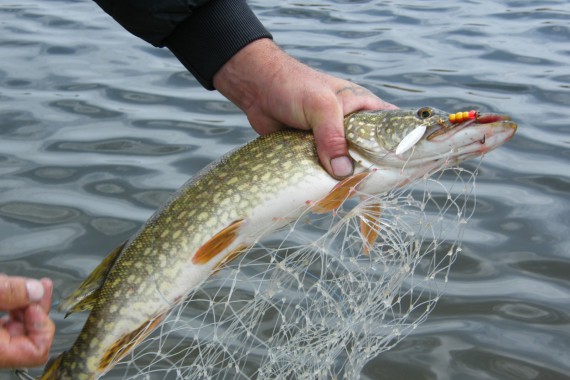 Фотография Гостевой дом «У Константина» 11