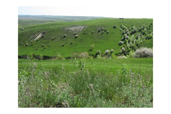 Фотография Природный парк «Нижнехоперский» 11