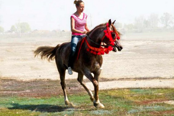 Фотография База отдыха «Астраханская» 19