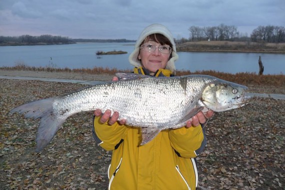 Фотография Рыболовно-охотничья база «Зеленый затон» 10
