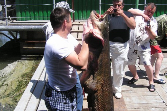 Фотография База отдыха «Блесна» 8