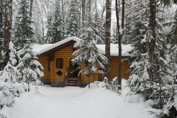 Фотография База отдыха «Березовая роща» 4