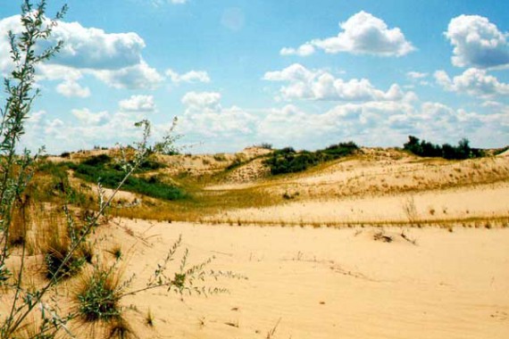 Фотография Природный парк «Нижнехоперский» 4