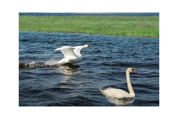 Фотография Природный парк «Нижнехоперский» 9