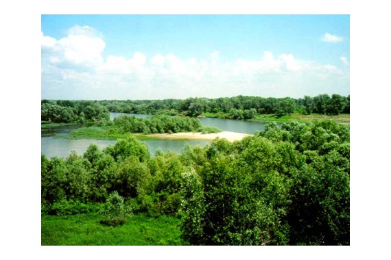 Фотография Природный парк «Нижнехоперский» 7