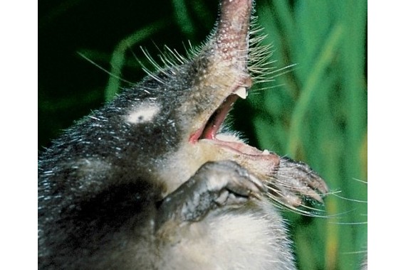 Фотография Природный парк «Нижнехоперский» 14