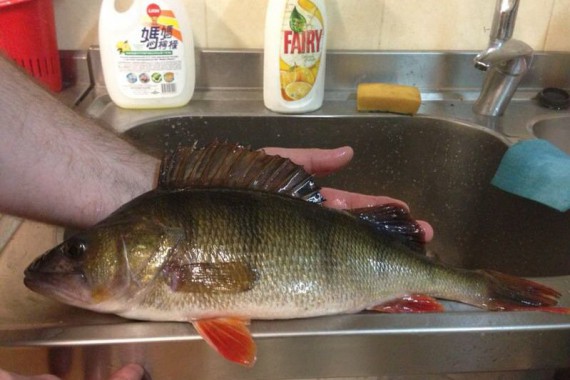 Фотография База отдыха «Черкасово» 18