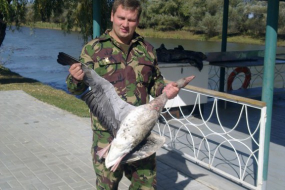 Фотография База отдыха «Блесна» 11