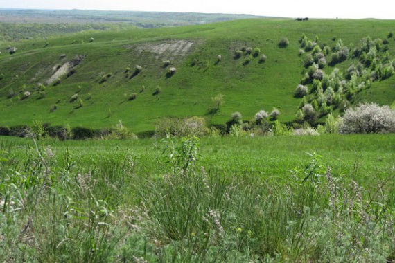 Фотография Природный парк «Нижнехоперский» 2