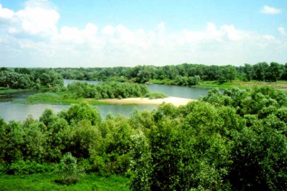 Фотография Природный парк «Нижнехоперский» 3