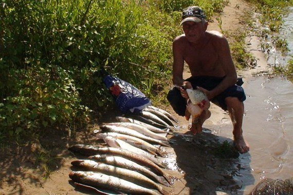 Фотография Рыболовно-охотничья база «Зеленый затон» 3