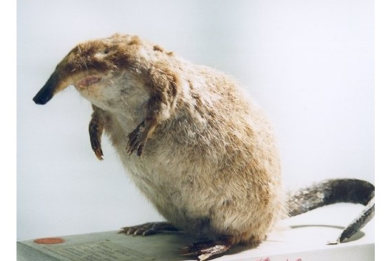 Фотография Природный парк «Нижнехоперский» 16