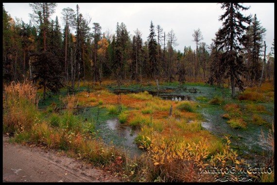 Фотография База отдыха «Рыбное место» 25