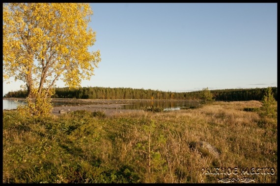 Фотография База отдыха «Рыбное место» 27