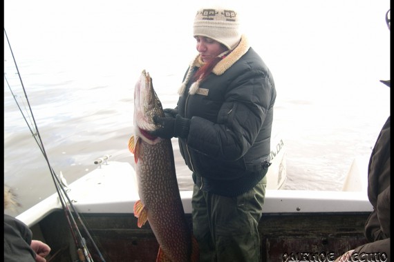 Фотография База отдыха «Рыбное место» 17