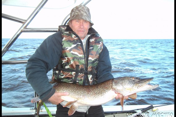 Фотография База отдыха «Рыбное место» 10