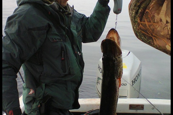 Фотография База отдыха «Рыбное место» 19