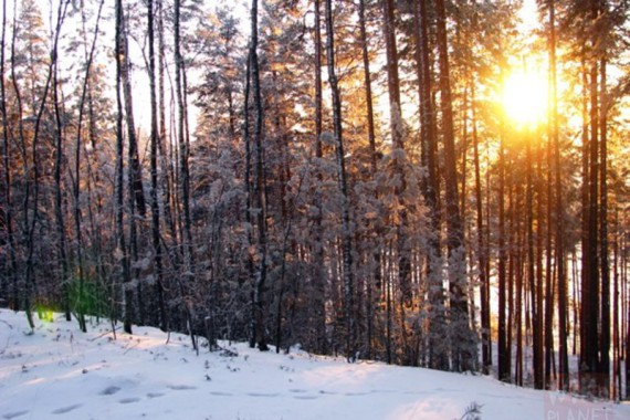 Фотография База отдыха Денисов Мыс 1