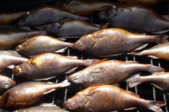 Фотография Рыболовно-охотничья база «Розовый фламинго» 7