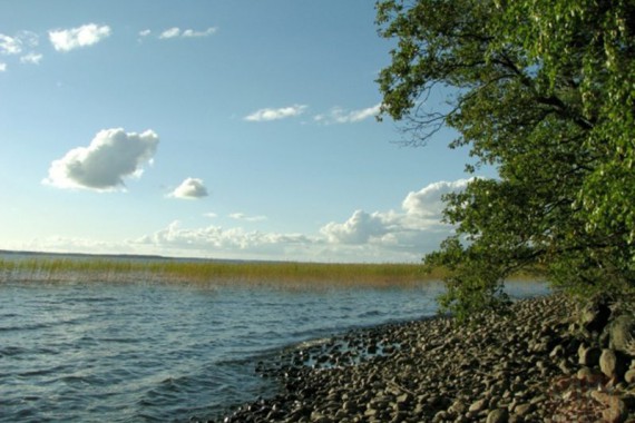 Фотография База отдыха Денисов Мыс 7