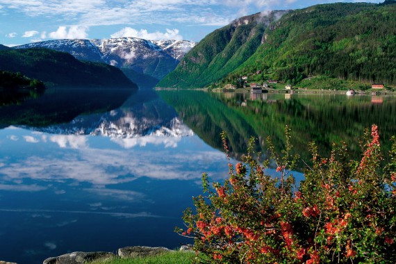 Фотография Хардангер-фьорд 1