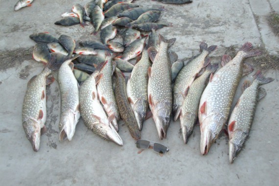 Фотография Рыболовно-охотничья база «Розовый фламинго» 6