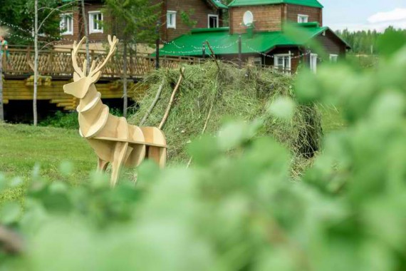 Фотография Спа-фестиваль «Иван Лун» 36