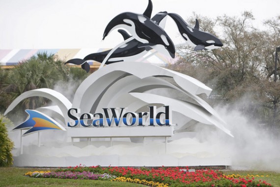 Фотография Парк «Водный мир» 0