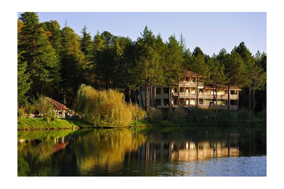 Фотография Lopota Resort 4