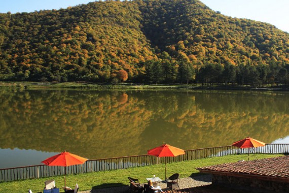 Фотография Lopota Resort 3