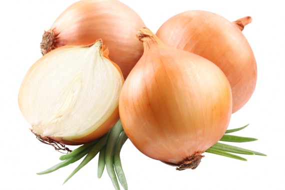 Фотография Фестиваль «Лукова Ярмонка» 2016 0