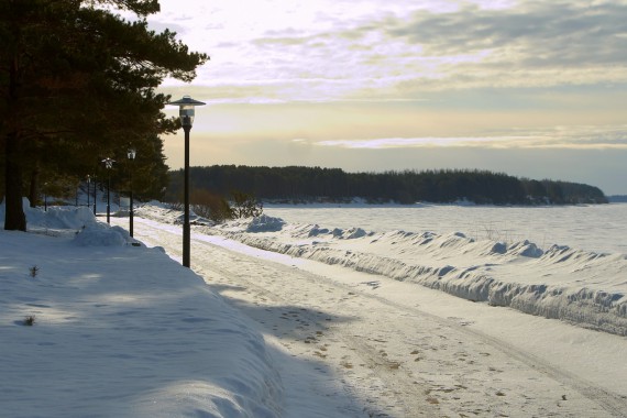 Фотография Ярославское взморье 95