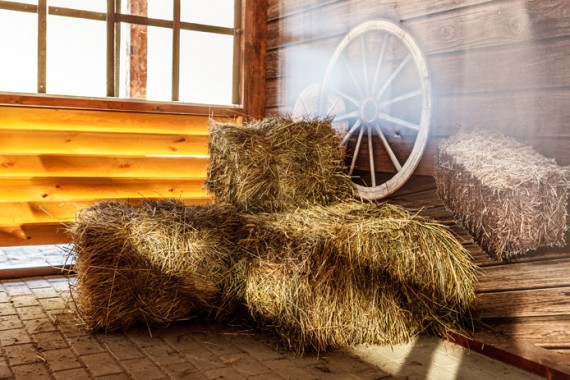 Фотография Вестерн-клуб El Evento 3