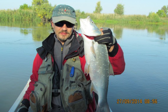 Фотография База отдыха «Астраханская» 1