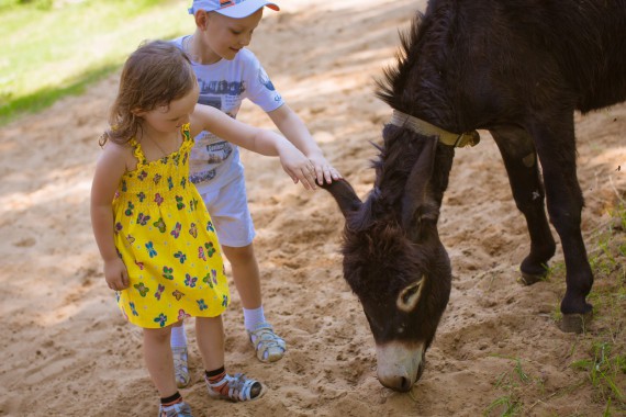 Фотография Ярославское взморье 35