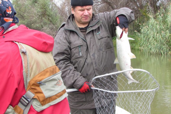 Фотография База отдыха «Астраханская» 0