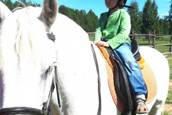 Фотография Ярославское взморье 52