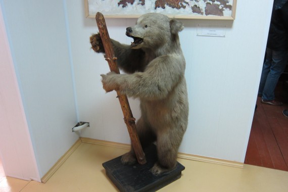 Фотография Весьегонский краеведческий музей 5