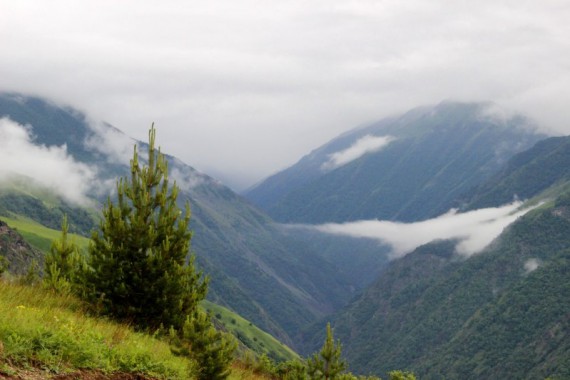 Фотография Аргунский музей-заповедник 5